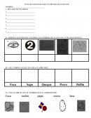 GUIA DE LENGUAJE PARA LA PRUEBA DE LENGUAJE