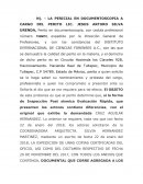 Dictamen en documentoscopia