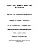 ENSAYO: “LOS ACCIDENTES DE TRANSITO”