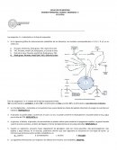 Ev Trimestral biomedica