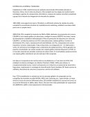 Historia de la empresa Colorful Group