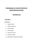Programa de capacitacion en profesionalizacion