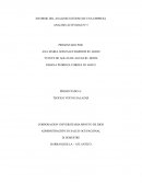 Diagnostico organizacional ANDINA FREIGHT S.A.S