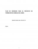 PLAN DE INVERSIÓN PARA EL PROYECTO DE FORMACION DE ARBOLES DE LIMON.BENEFICIARIO DEL PROYECTO