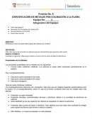 IDENTIFICACIÓN DE METALES POR COLORACIÓN A LA FLAMA