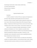 Organizacion Mundial de la Salud. El Plan de Acción