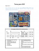 Tarea Para SI01