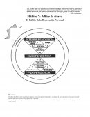 Renovación y mejora continua