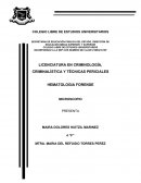 IMPORTANCIA DEL MICROSCOPIO EN EL LABORATORIO