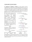 CATABOLISMO DE ÁCIDOS GRASOS