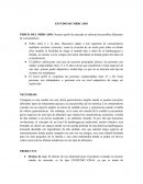 ESTUDIO DE MERCADO hamburguesas