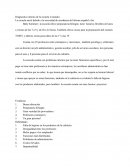 Diagnostico interno de la escuela 2 mundos