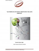 Las teorías de acto social constitutivo y del auto complejo