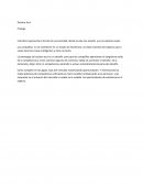 Creación de los Océanos Azules