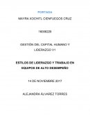 ESTILOS DE LIDERAZGO Y TRABAJO EN EQUIPOS DE ALTO DESEMPEÑO