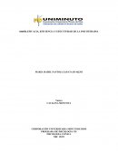 RESEÑA EFICACIA, EFICIENCIA Y EFECTIVIDAD DE LA PSICOTERAPIA