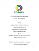 Impacto de la drogadicción en los jóvenes del 5° “A” del cobach 145 Tuxtla Sur