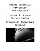 Producción Individual Biología.EL aborto terapéutico