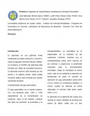 Digestión de Carbohidratos Complejos por Amilasa Pancreática