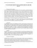 Cultivo de maíz en situaciones de escasez de agua