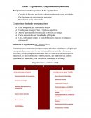 Organizaciones y comportamiento organizacional