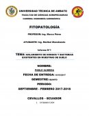 Aislamiento de hongos y bacterias existentes en muestras de suelo