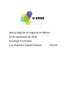 Marco Legal de los negocios en México