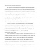 Ensayo sobre la tradición jurídica romano canónica