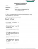 AUDITORIA EXTERNA CLIENTE: SCANEQ S.A.