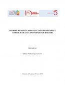INFORME DE RESULTADOS DEL CENSO DE HOGARES Y COMERCIO DE LAS COMUNIDADES DE RIO FRIO