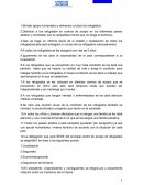 Postura de las naciones unidas