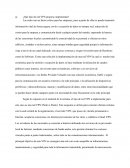 ¿Qué tipo de red VPN propone implementar?