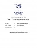CONDICIONAMIENTO OPERANTE