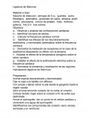 Ligadura de Stannius