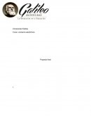 Proyecto final comercio electronico