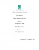 Ensayo sobre software educativo