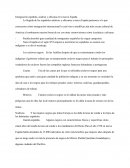 Inmigración española, asiática y africana en la nueva España