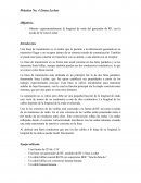 Práctica No. 4 Linea Lecher