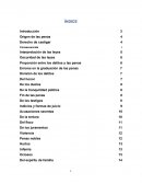 Reseña de los delitos y las penas