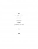 Fuentes del Derecho Romano