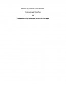 Síntesis de primeras 7 tesis tomistas. Antropología filosófica