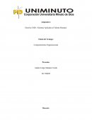 Comportamiento Organizacional Preguntas 1 Capítulo