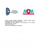 Reemplazo de maquinaria industrial