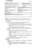 Actividad 1 Contexto de Lean Manufacturing