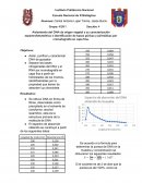 Extraccion de DNA vegetal