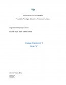 Antropología Social. Antropología lingüística