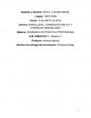 Seminario de Práctica Profesional primera entrega