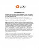 La Auditoría Interna