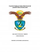 PLAN DE TRABAJO PARA PRÁCTICAS DE LABORATORIO EN BIOLOGÍA