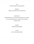 FORMULACION DE PROYECTOS EN MI PROFECION